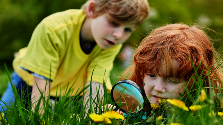 Zwei Kinder liegen in einer Wiese und beobachten mit einer Lupe die Natur